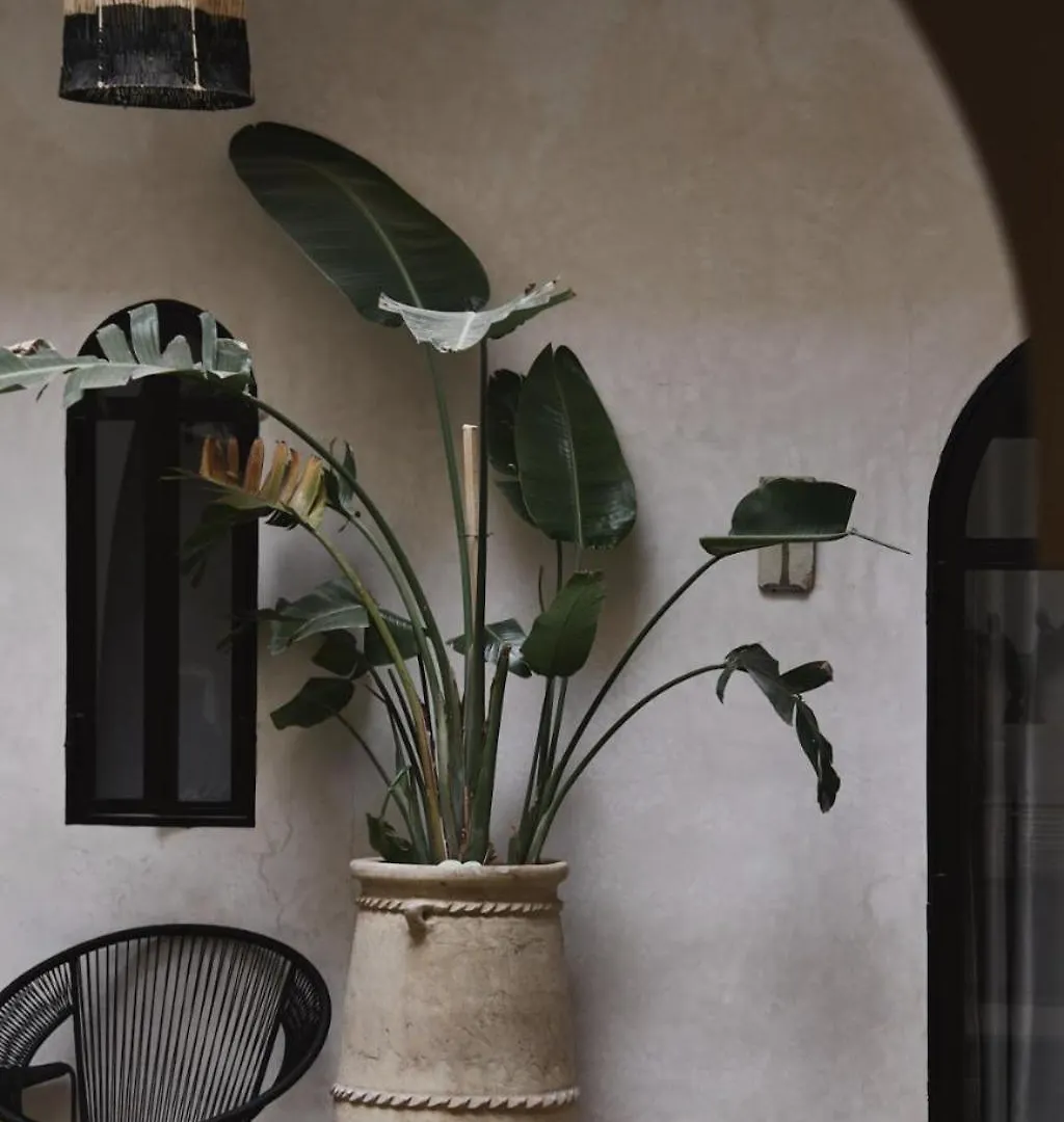Guest house Riad Soulmate Marrakesh