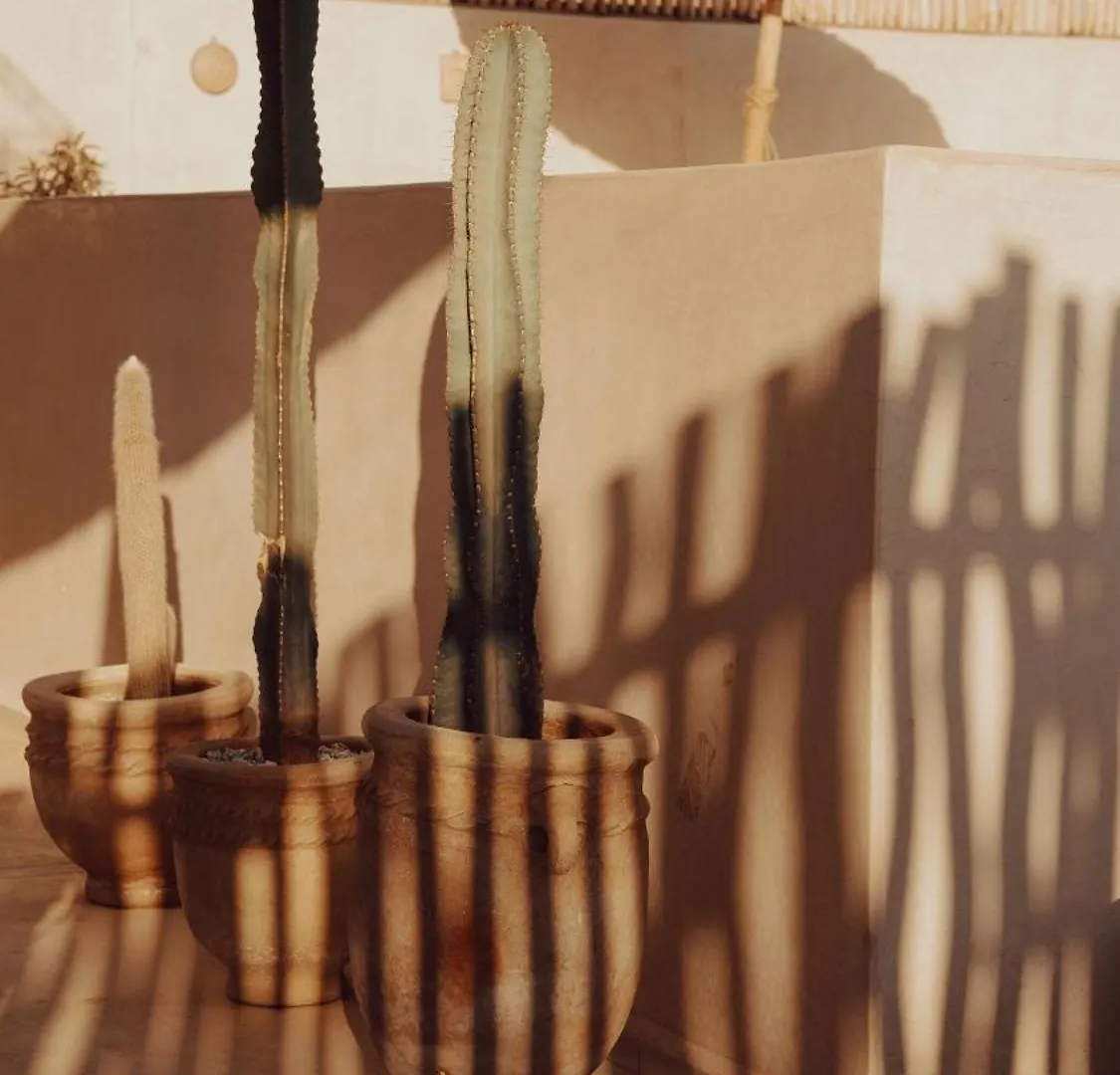 Gasthuis Riad Soulmate Marrakesh Marokko